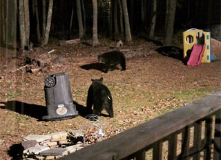 Stealth bearproof garbage can